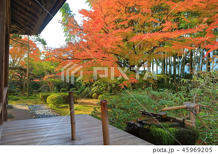 紅葉の宝泉院（京都大原） 45969205