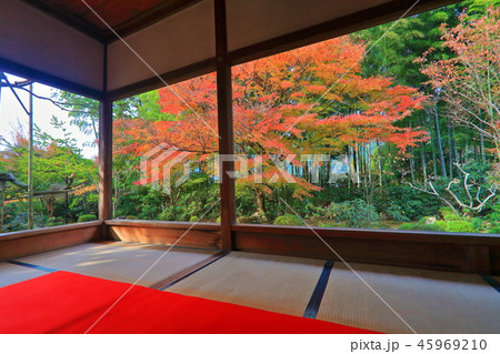 紅葉の宝泉院（京都大原） 45969210