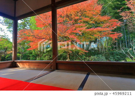 紅葉の宝泉院（京都大原） 45969211