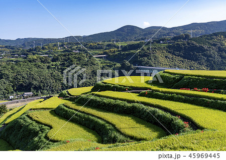 [長崎県]東彼杵の風景 45969445