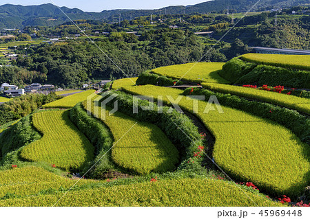 [長崎県]東彼杵の風景 45969448