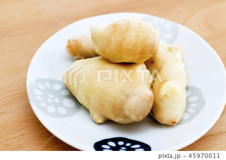 生姜 生姜 45970011