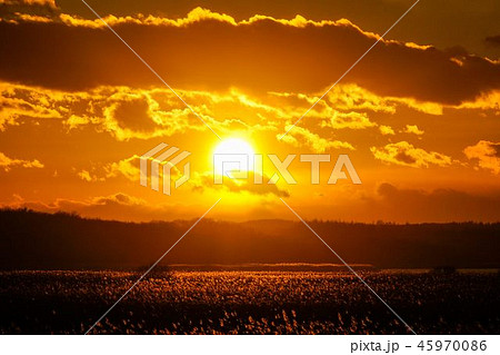 濤沸湖の夕日 濤沸湖の夕日 45970086