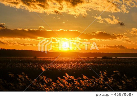 濤沸湖の夕日 濤沸湖の夕日 45970087