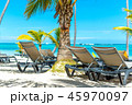 Sun chairs on the beach among palm trees in the re 45970097