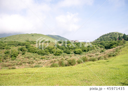 台北　陽明山の山麓　チン天崗草原（擎天崗草原　チンテンガン草原　青天港草原） 45971435