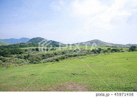 台北　陽明山の山麓　チン天崗草原（擎天崗草原　チンテンガン草原　青天港草原） 45971436