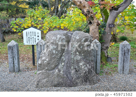 橘寺 二面石 奈良県高市郡明日香村橘の写真素材