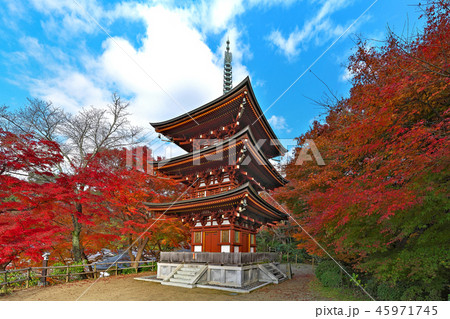 【岡寺 三重塔】 (高解像度版) 奈良県高市郡明日香村岡 45971745