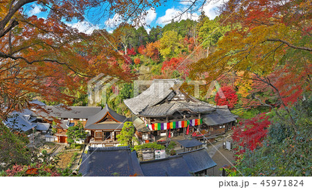 【岡寺】 (高解像度版) 奈良県高市郡明日香村岡 【岡寺】 (高解像度版) 奈良県高市郡明日香村岡 45971824