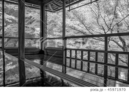 （セピア）秋の瑠璃光院 45971970