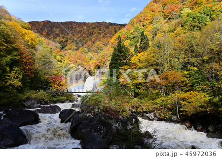 苗名滝　紅葉 45972036