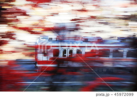 東武日光線（秋） 45972099