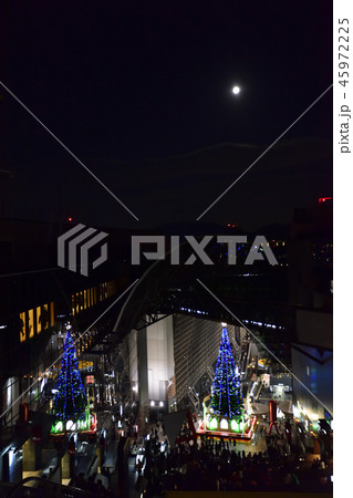 京都駅ビル クリスマスツリー 京都駅ビル クリスマスツリー 45972225