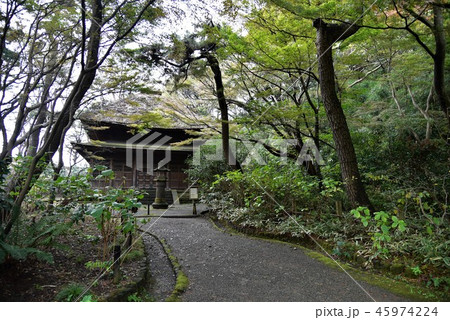 横浜三渓園 旧東慶寺仏殿 横浜三渓園 旧東慶寺仏殿 45974224