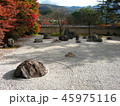 秋の実相院　石庭 45975116