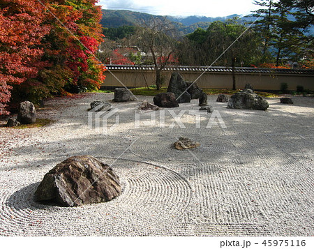 秋の実相院　石庭 45975116