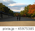 秋の京都御所２ 45975385