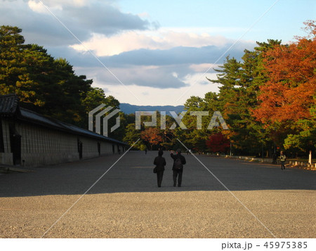 秋の京都御所2 秋の京都御所2 45975385
