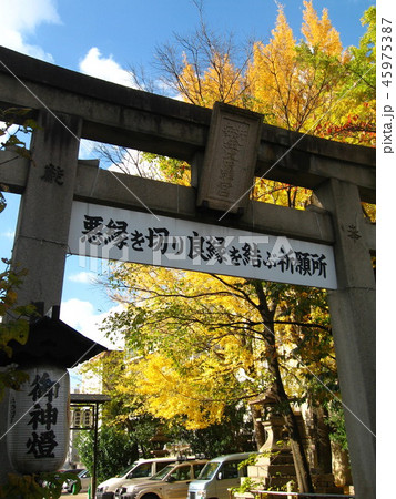 安井金比羅宮 安井金比羅宮 45975387