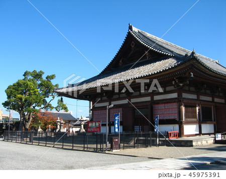 東寺 45975391
