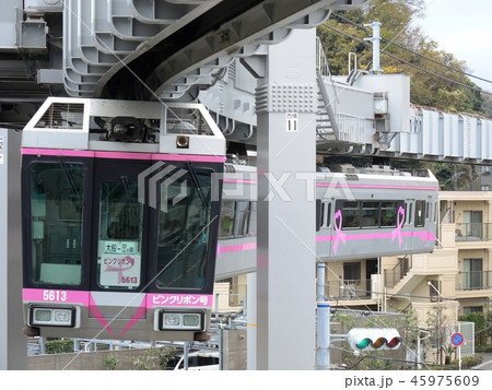 滑空の湘南モノレール 滑空の湘南モノレール 45975609
