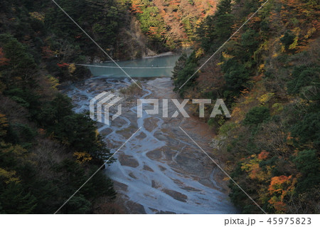 秋の寸又峡 夢の吊り橋 秋の寸又峡 夢の吊り橋 45975823