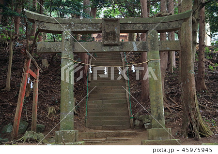 神奈川県厚木市の鐘ヶ嶽(かねがたけ)にある浅間神社の鳥居 神奈川県厚木市の鐘ヶ嶽(かねがたけ)にある浅間神社の鳥居 45975945