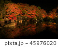好古園の紅葉 45976020
