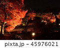 好古園の紅葉 45976021