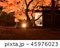 好古園の紅葉 45976023