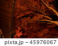 好古園の紅葉 45976067