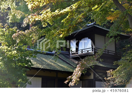 横浜三渓園 聴秋閣 横浜三渓園 聴秋閣 45976081