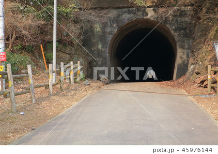 神奈川県厚木市の鐘ヶ嶽(かねがたけ)の山神隧道 45976144