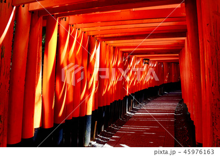 伏見稲荷の千本鳥居 45976163