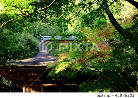 室生寺、本堂、潅頂堂、国宝 45976202