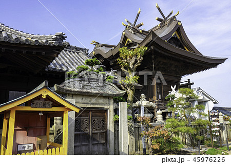 羽黒神社　玉島　本殿 45976226