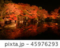 好古園の紅葉 45976293