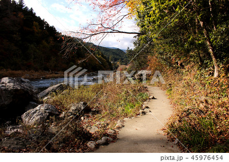 秋の散策が楽しめる御岳渓谷遊歩道(1) 秋の散策が楽しめる御岳渓谷遊歩道(1) 45976454