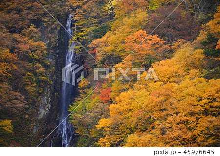 松川渓谷紅葉 八滝 長野の写真素材