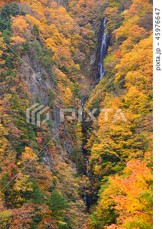 松川渓谷紅葉　八滝　長野 45976647