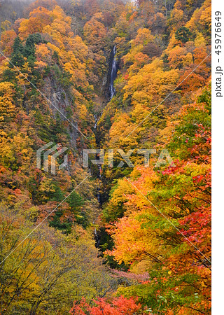 松川渓谷紅葉　八滝　長野 45976649