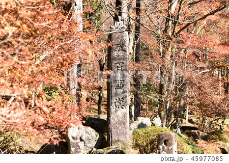長安寺　五百羅漢 45977085