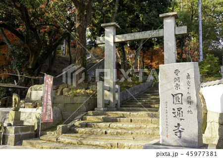 円通寺 45977381