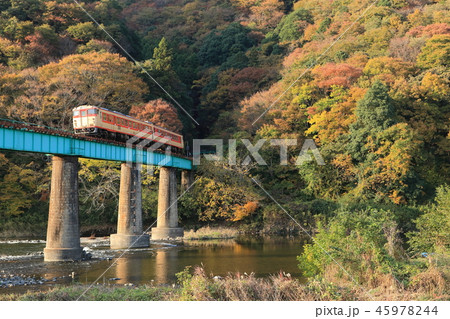 【快速】奥久慈紅葉レトロ号と山間部の紅葉風景 【快速】奥久慈紅葉レトロ号と山間部の紅葉風景 45978244
