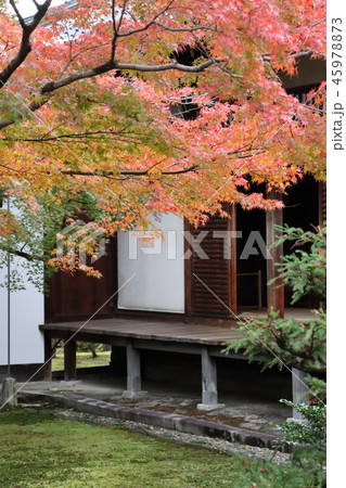 お寺の紅葉 45978873