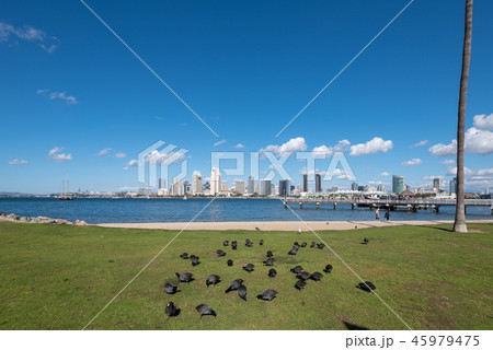 サンディエゴの日中風景 サンディエゴの日中風景 45979475