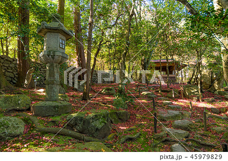 旧竹林院（大津市　坂本）日本庭園の紅葉 45979829
