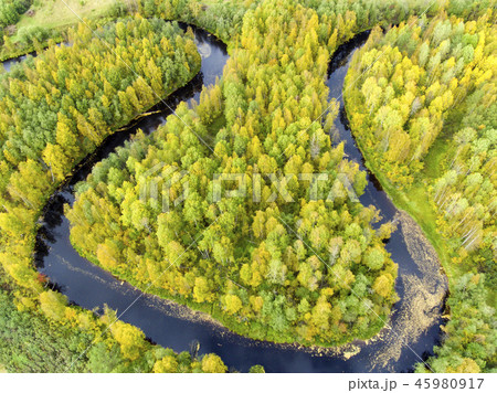 Aerial view of river bends in wild forest Aerial view of river bends in wild forest 45980917