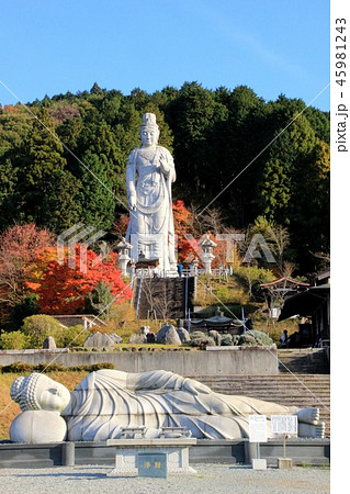 壷阪寺 壷阪寺 45981243